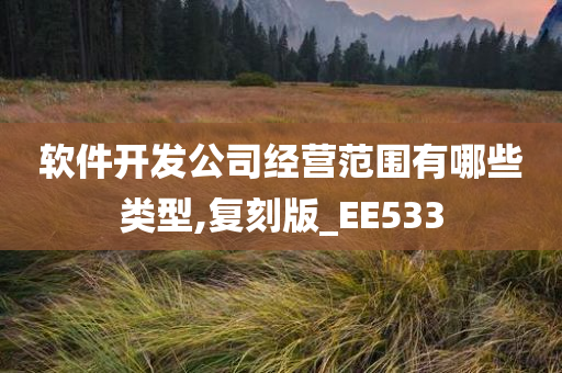 软件开发公司经营范围有哪些类型,复刻版_EE533