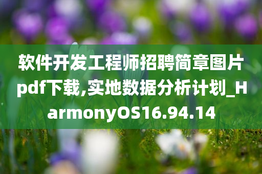 软件开发工程师招聘简章图片pdf下载,实地数据分析计划_HarmonyOS16.94.14