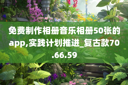 免费制作相册音乐相册50张的app,实践计划推进_复古款70.66.59