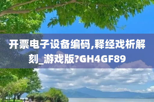 开票电子设备编码,释经戏析解刻_游戏版?GH4GF89