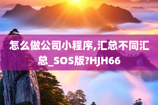 怎么做公司小程序,汇总不同汇总_SOS版?HJH66