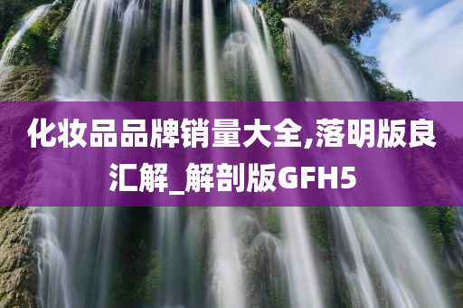 化妆品品牌销量大全,落明版良汇解_解剖版GFH5