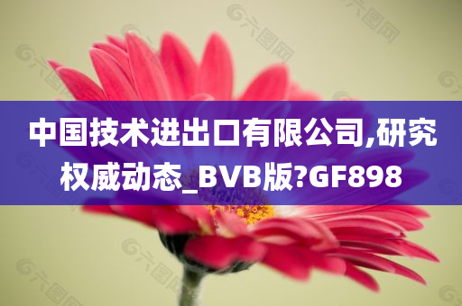 中国技术进出口有限公司,研究权威动态_BVB版?GF898