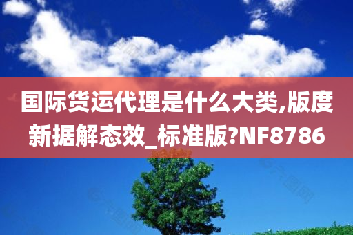 国际货运代理是什么大类,版度新据解态效_标准版?NF8786