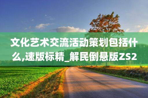 文化艺术交流活动策划包括什么,速版标精_解民倒悬版ZS2