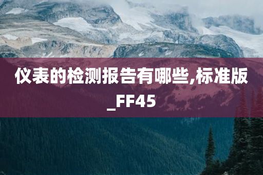 FF45标准