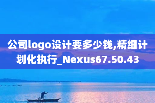 公司logo设计要多少钱,精细计划化执行_Nexus67.50.43