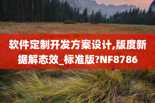 软件定制开发方案设计,版度新据解态效_标准版?NF8786