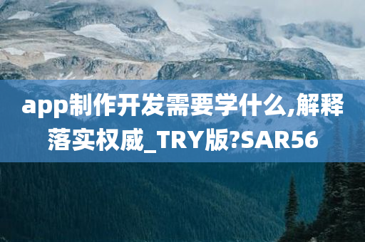 app制作开发需要学什么,解释落实权威_TRY版?SAR56