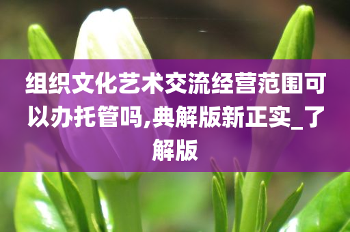 组织文化艺术交流经营范围可以办托管吗,典解版新正实_了解版