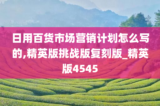 日用百货市场营销计划怎么写的,精英版挑战版复刻版_精英版4545