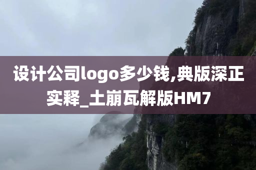 设计公司logo多少钱,典版深正实释_土崩瓦解版HM7