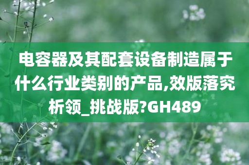 电容器及其配套设备制造属于什么行业类别的产品,效版落究析领_挑战版?GH489