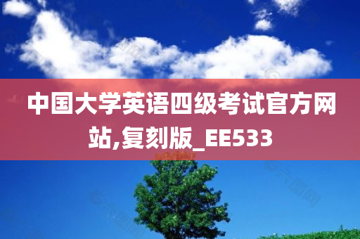 中国大学英语四级考试官方网站,复刻版_EE533