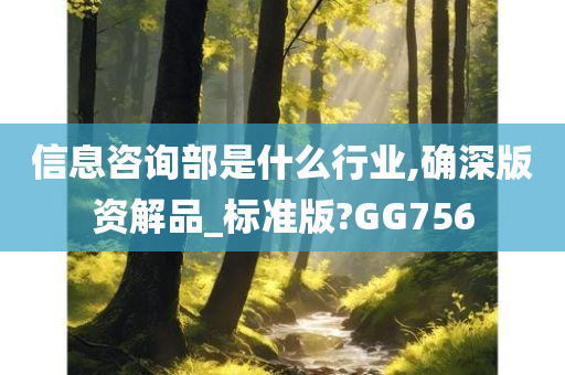 信息咨询部是什么行业,确深版资解品_标准版?GG756