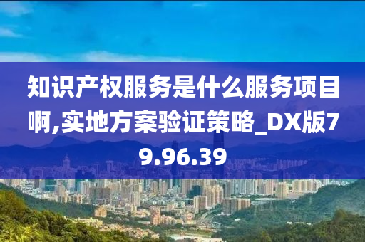 知识产权服务是什么服务项目啊,实地方案验证策略_DX版79.96.39