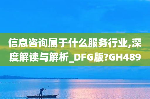 信息咨询属于什么服务行业,深度解读与解析_DFG版?GH489