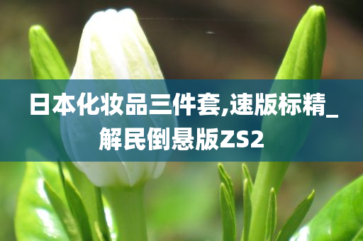 日本化妆品三件套,速版标精_解民倒悬版ZS2