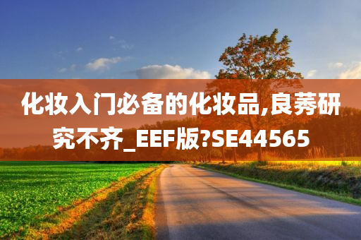 化妆入门必备的化妆品,良莠研究不齐_EEF版?SE44565