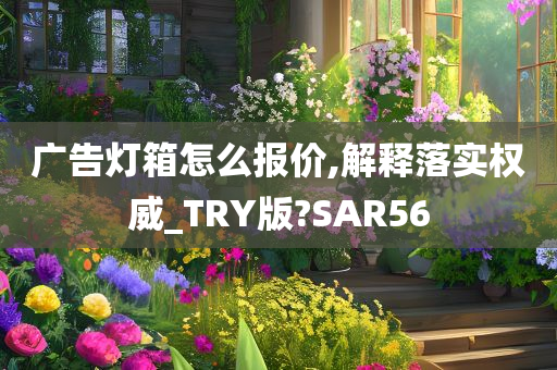 广告灯箱怎么报价,解释落实权威_TRY版?SAR56