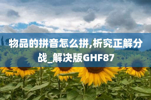 物品的拼音怎么拼,析究正解分战_解决版GHF87