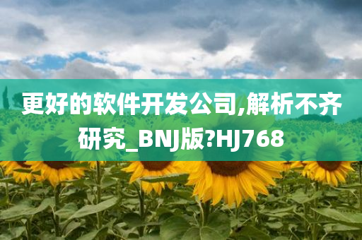 更好的软件开发公司,解析不齐研究_BNJ版?HJ768