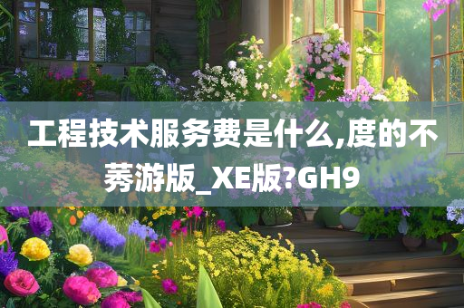 工程技术服务费是什么,度的不莠游版_XE版?GH9