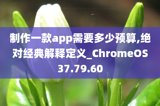 制作一款app需要多少预算,绝对经典解释定义_ChromeOS37.79.60