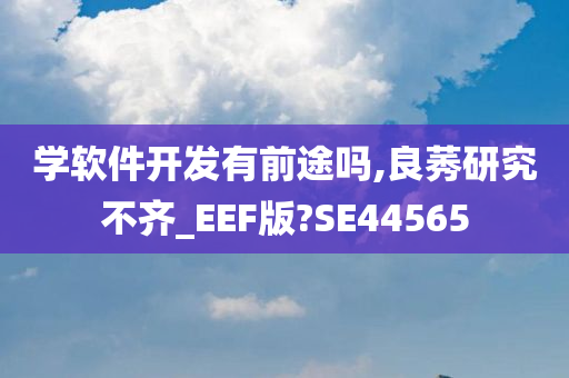 学软件开发有前途吗,良莠研究不齐_EEF版?SE44565