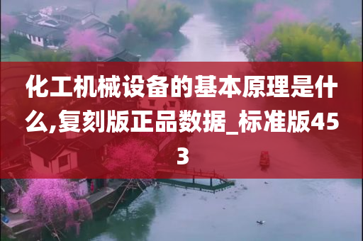 化工机械设备的基本原理是什么,复刻版正品数据_标准版453