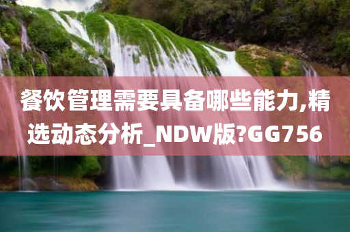 餐饮管理需要具备哪些能力,精选动态分析_NDW版?GG756