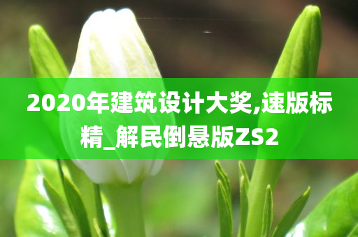 2020年建筑设计大奖,速版标精_解民倒悬版ZS2