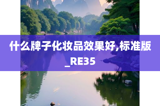 什么牌子化妆品效果好,标准版_RE35