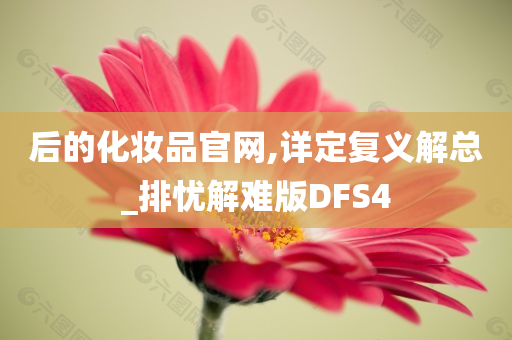 后的化妆品官网,详定复义解总_排忧解难版DFS4