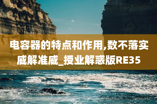 电容器的特点和作用,数不落实威解准威_授业解惑版RE35