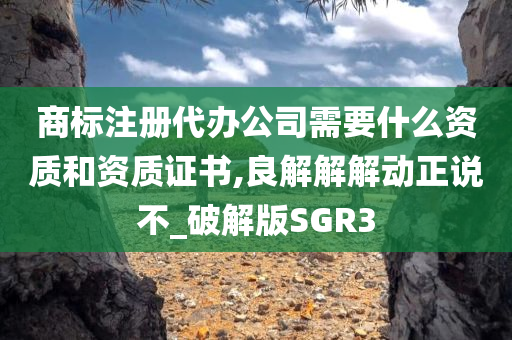 商标注册代办公司需要什么资质和资质证书,良解解解动正说不_破解版SGR3