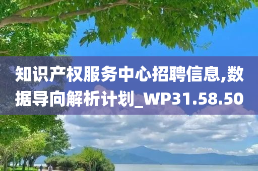 知识产权服务中心招聘信息,数据导向解析计划_WP31.58.50