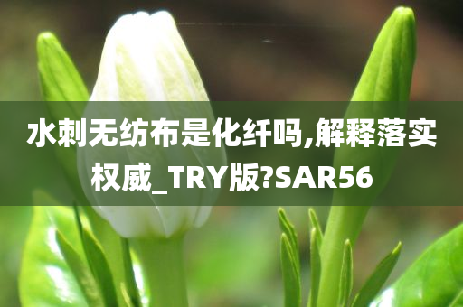 水刺无纺布是化纤吗,解释落实权威_TRY版?SAR56