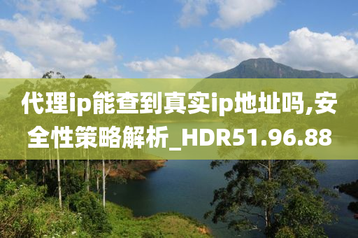 代理ip能查到真实ip地址吗,安全性策略解析_HDR51.96.88