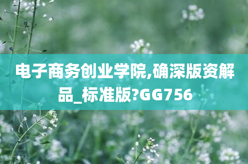 电子商务创业学院,确深版资解品_标准版?GG756