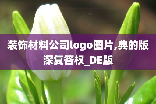 装饰材料公司logo图片,典的版深复答权_DE版