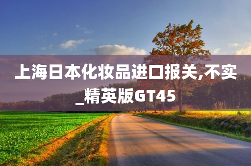 上海日本化妆品进口报关,不实_精英版GT45