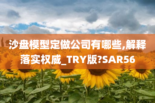 沙盘模型定做公司有哪些,解释落实权威_TRY版?SAR56