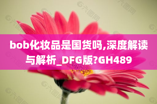 bob化妆品是国货吗,深度解读与解析_DFG版?GH489