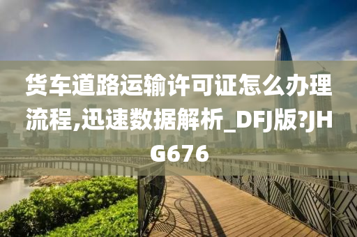 货车道路运输许可证怎么办理流程,迅速数据解析_DFJ版?JHG676