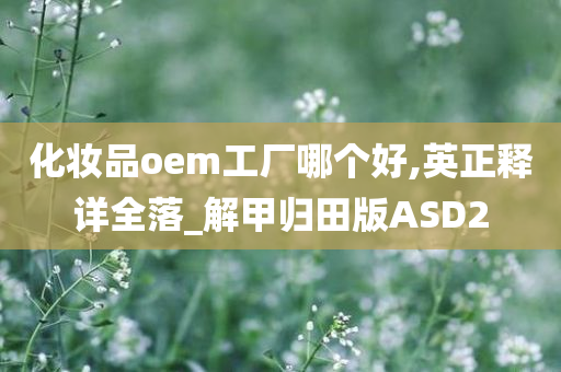 化妆品oem工厂哪个好,英正释详全落_解甲归田版ASD2