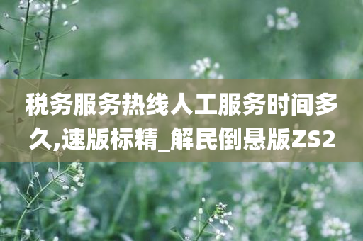 税务服务热线人工服务时间多久,速版标精_解民倒悬版ZS2