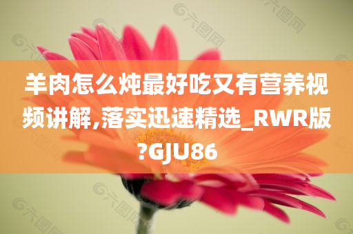 羊肉怎么炖最好吃又有营养视频讲解,落实迅速精选_RWR版?GJU86