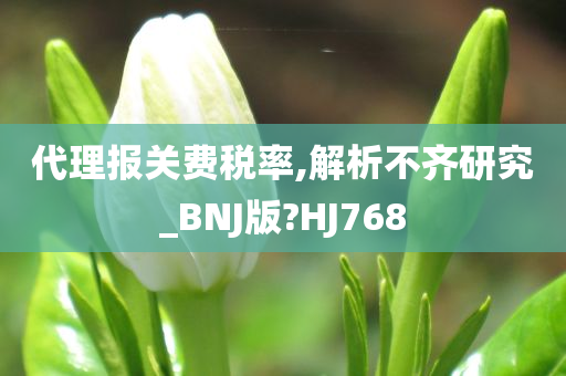 代理报关费税率,解析不齐研究_BNJ版?HJ768