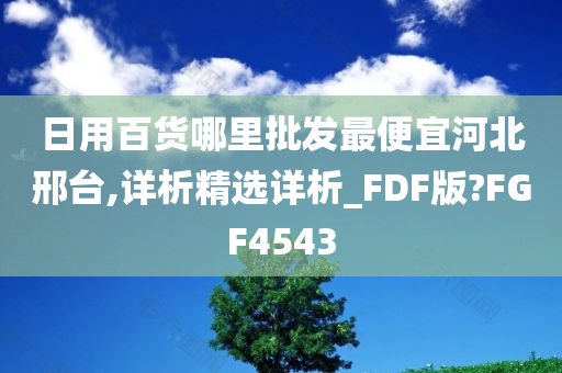 日用百货哪里批发最便宜河北邢台,详析精选详析_FDF版?FGF4543